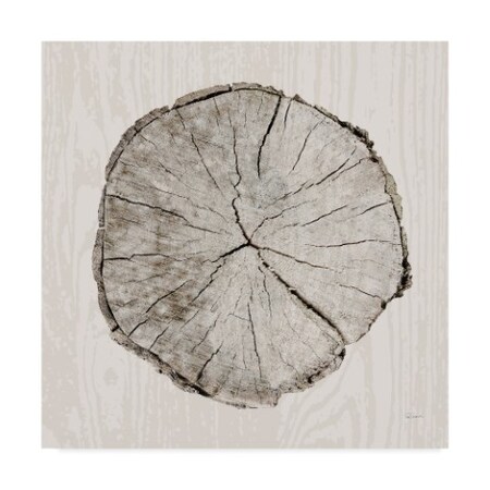 Trademark Fine Art Sue Schlabach 'Woodland Years I' Canvas Art, 18x18 WAP08180-C1818GG